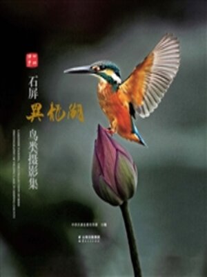 cover image of 湖畔精灵